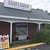 Sunflower Massage photo