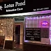 Lotus Pond photo