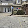 Zen Den photo