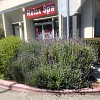 Relax Spa photo