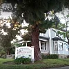 Kuba Uchi House of Massage Golden Hill photo