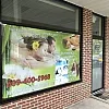 Sol Massage photo