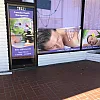 Camellia Massage photo