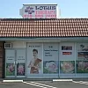 Lotus Therapy photo