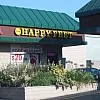 Happy Feet photo