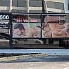 Lulu Massage Spa photo