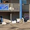 Harmony massage spa photo