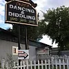 Inez's D&D photo