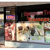 Evergreen Tree Massage photo