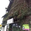 Malee Thai Spa & Massage photo