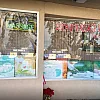 Orchid Spa photo