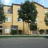 Chinese Holistic Bodyworks photo