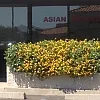 Lily Spa photo