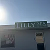 Lily Spa photo