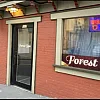 Forest Spa photo