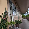 Thai Banyan Massage & Spa photo