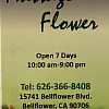 Massage Flower photo