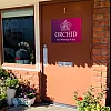 Orchid Thai Massage & Spa photo