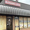The Blooming Lotus photo
