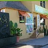 Thai Yoga Massage photo