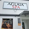Aglaia photo