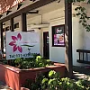 Jasmine Flower Spa photo
