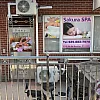 Sakura SPA photo