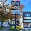 Evergreen Tree Massage 1 photo