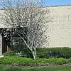Blue Island Spa photo