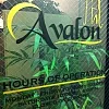 Avalon Spa photo