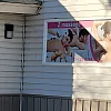 Z Massage photo