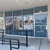 ARK massage SPA photo