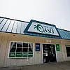 New You Oasis photo