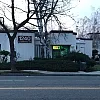 Spring Massage photo