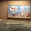 Sea Shell Chinese Massage photo