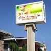 Golden Tree Spa photo